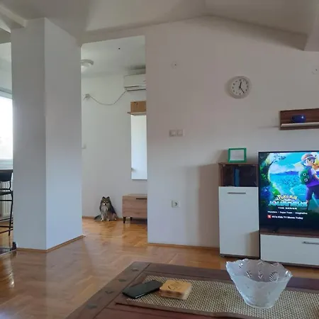 Zvezdica -smederevo, Netflix * Smederevo