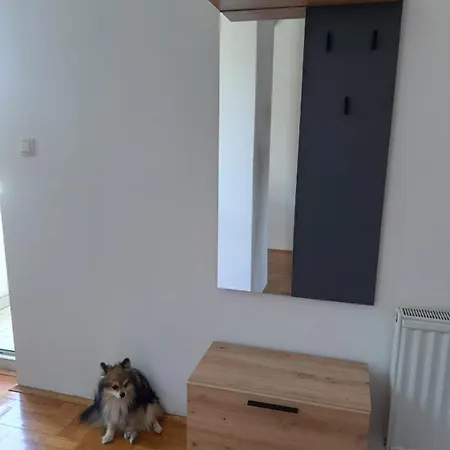 Zvezdica -smederevo, Netflix Apartment Smederevo
