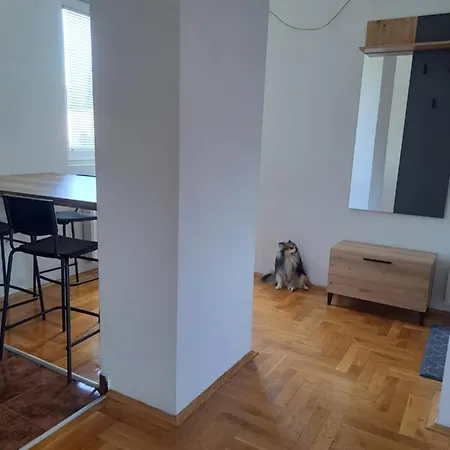 Zvezdica -smederevo, Netflix Semendria